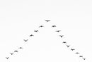 Formation No5-1