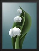 Lily of the valley-1