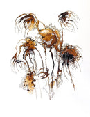 Desert Roses-1
