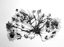 Blooming Fantasy: Dendelion-1