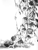 Blooming Fantasy: Spring-1