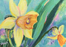 Daffodils-1