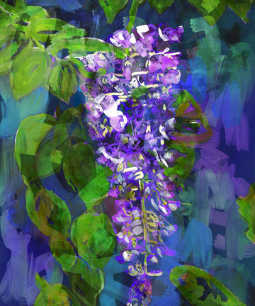 Wisteria 2024