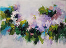 The appeal of Clematis-1