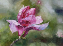 A touch of spring color-1