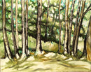 Trees in the Rain, Old Meadowvale Village-1