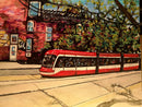 A View from a Park Bench, Trinity Bellwoods Park-1