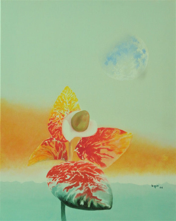 Day Moon