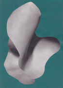 Corporeal Folds 1-1