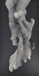 Corporeal Folds 74-1