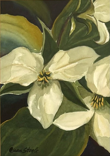 White Trillium