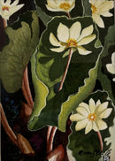 Blood Root-1