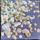Beach Pebbles #1-1
