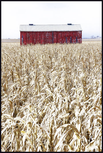 Clarington Farm Field