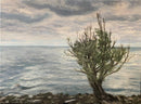 Moody Day at Lakeside Park-1