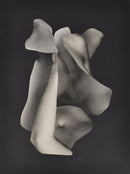 Corporeal Folds 76-1