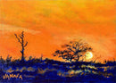 Sunset Over Sand Dunes-1
