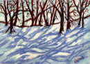 Winter Shadows-1