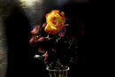 Rose 1-1