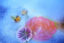 Ice Violet-1