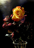Rose 3-1