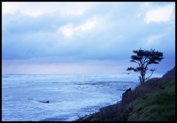 High Tide at Kalaloch Beach, Washington