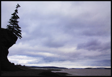 On the Edge, Fundy Shore