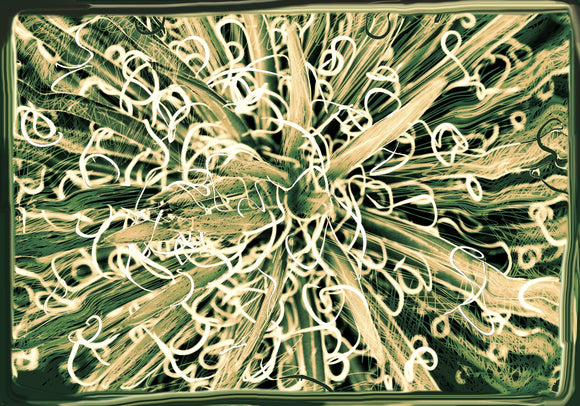 Thread Agave