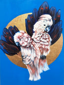 Electric Blue Cockatoos-1