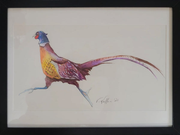 Pheasant