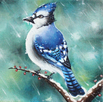 Frosty Blue Jay