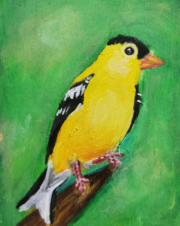 American Goldfinch