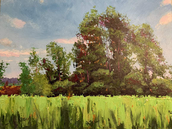 In the Shade of the Trees