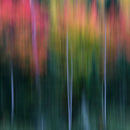 Fall Tales-1