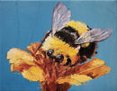 Nectar 's touch-1