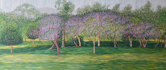 Jacarandas