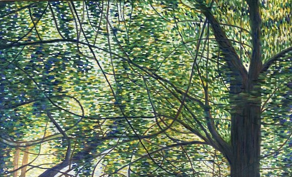 Light Through the Leaves