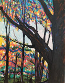 Light, Through the Branches-1