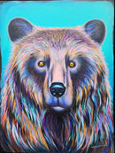 Black bear-1