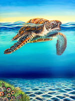 Sea turtle