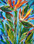 Birds Of Paradise-1