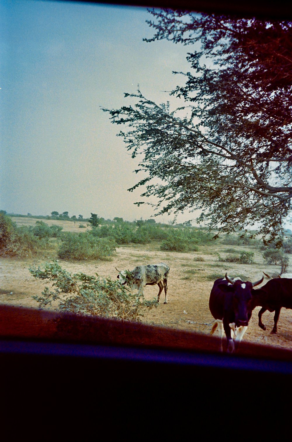 The beauty within Senegal