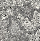 MONOCHROMATIC-1