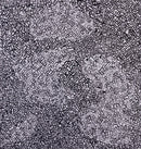 MONOCHROMATIC No. 2-1