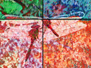 Layers of the Natural Self-1