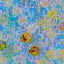 Fluid Dreams-1