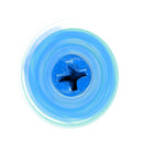 Anchor Of The Cosmos-1