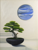 Bonsai by the window-1