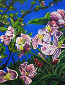 Apple Blossoms-1