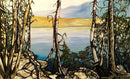 A View to Ponder, Crawford Lake-1